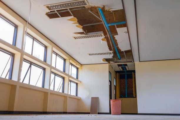 Best Mold removal after water damage  in Brackenridge, PA