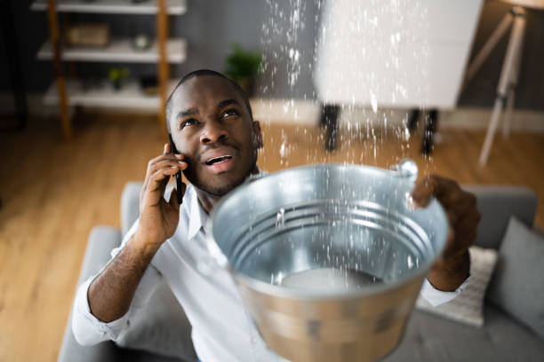 Best Local water damage restoration  in Brackenridge, PA