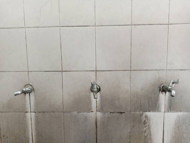 Best 24-hour water damage restoration  in Brackenridge, PA