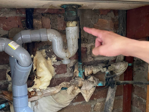 Best Carpet water damage restoration  in Brackenridge, PA