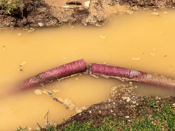 Best Professional water damage repair  in Brackenridge, PA
