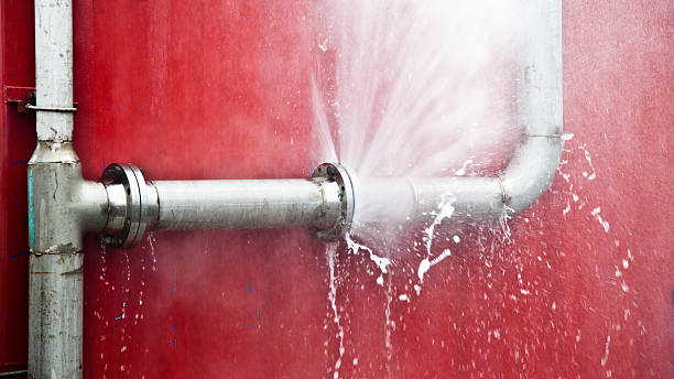Best Water damage restoration specialists  in Brackenridge, PA